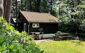 Kleine huisje op de Veluwe